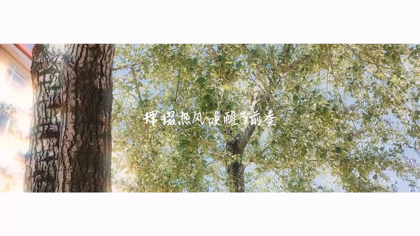 《二十岁时，意识坠入初夏》【词】