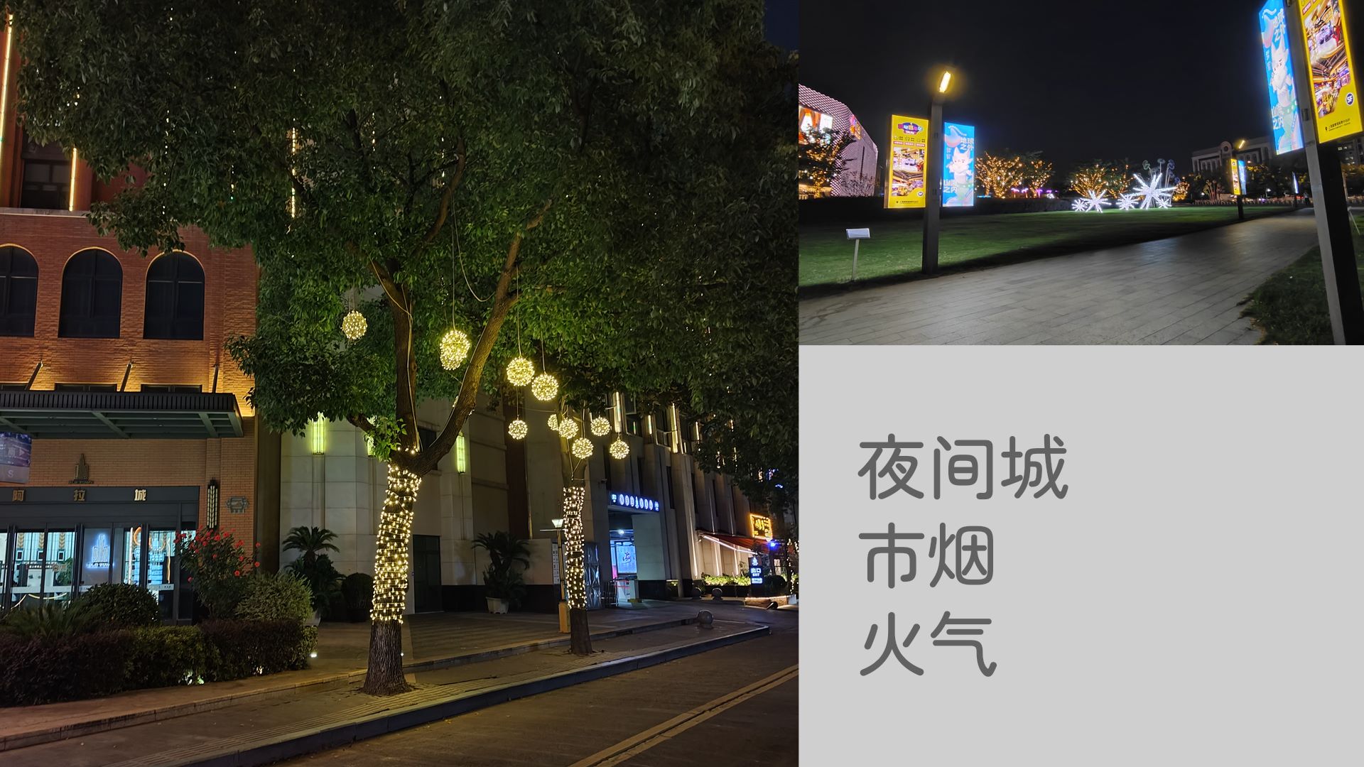 《2024年7月，诺惶的上海之旅》【词】